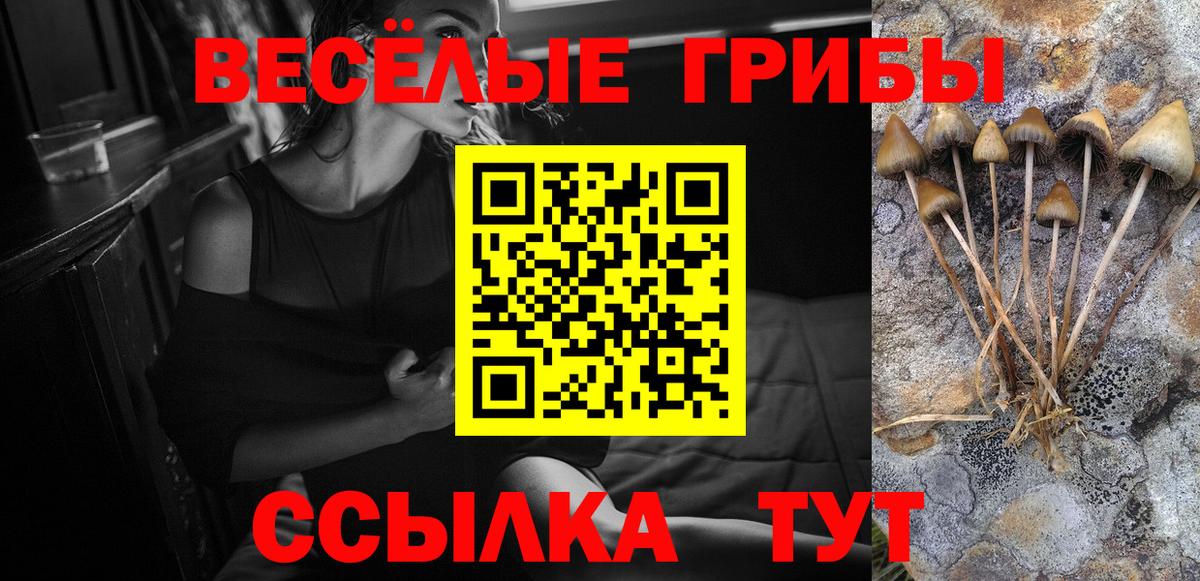 Псилоцибиновые грибы мицелий  Вход с VPN  Крымск  Псилоцибиновые грибы ЛСД 